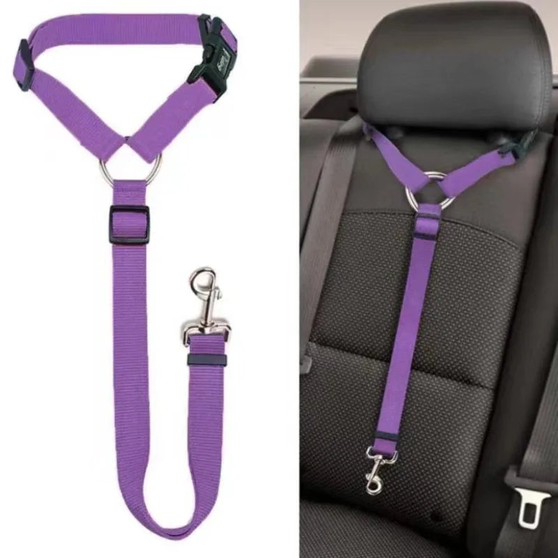 Two-in-one seat belt for pets