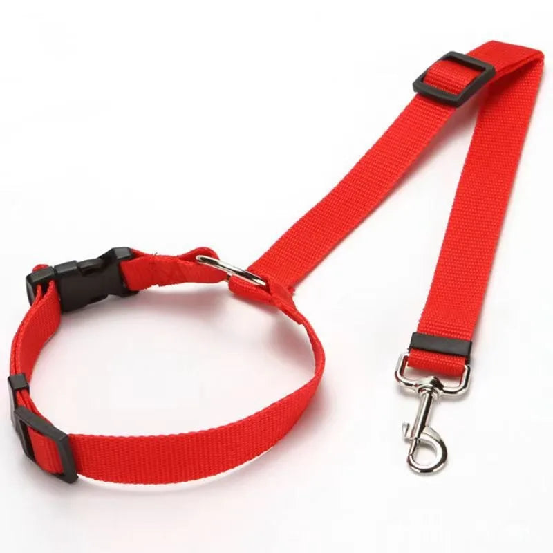 Two-in-one seat belt for pets