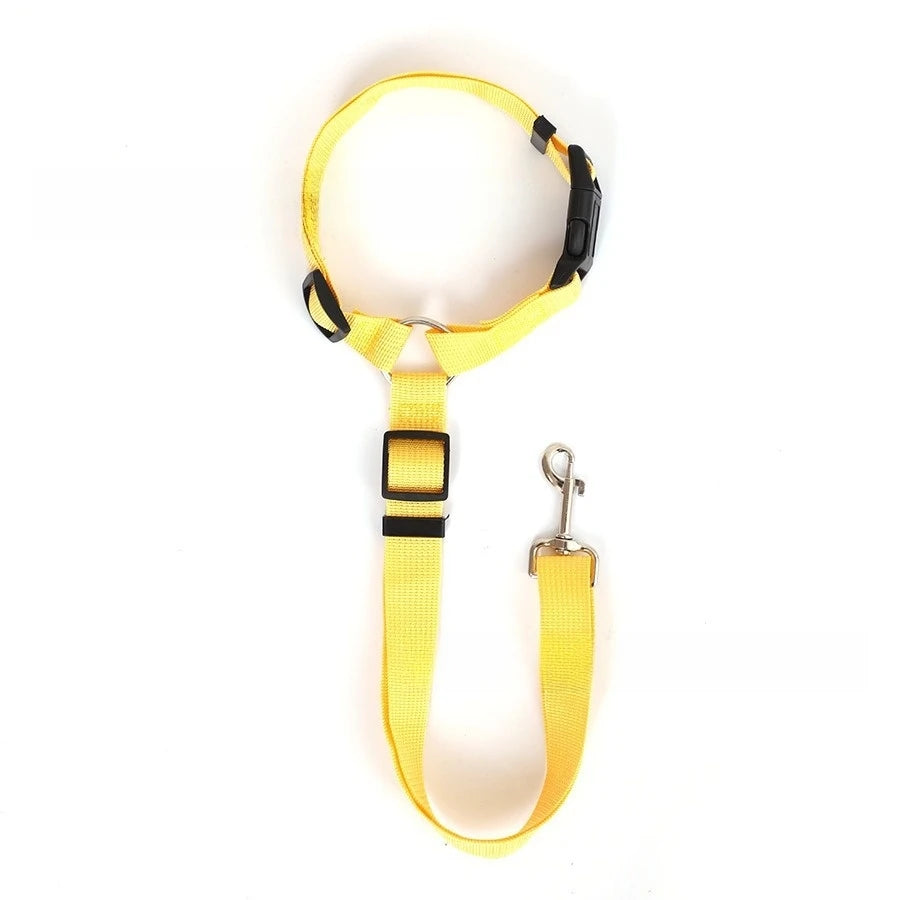 Two-in-one seat belt for pets