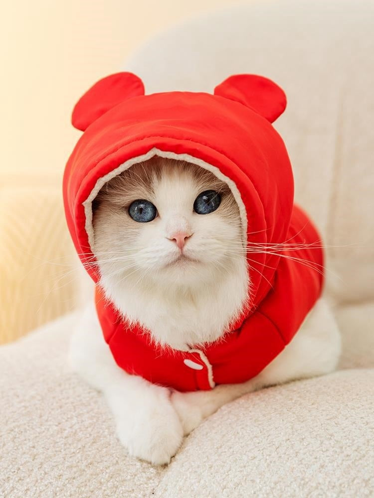 Cozy Winter Cat Vest – Soft Anti-Lint Sweater for  Short-Haired Cats