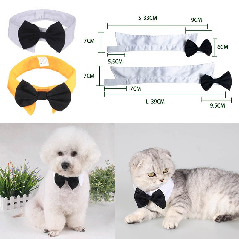 Butterfly Bow Tie Collar for Cats & Dogs – Adjustable Pet Necktie Accessory (1 PC, 2 Sizes)