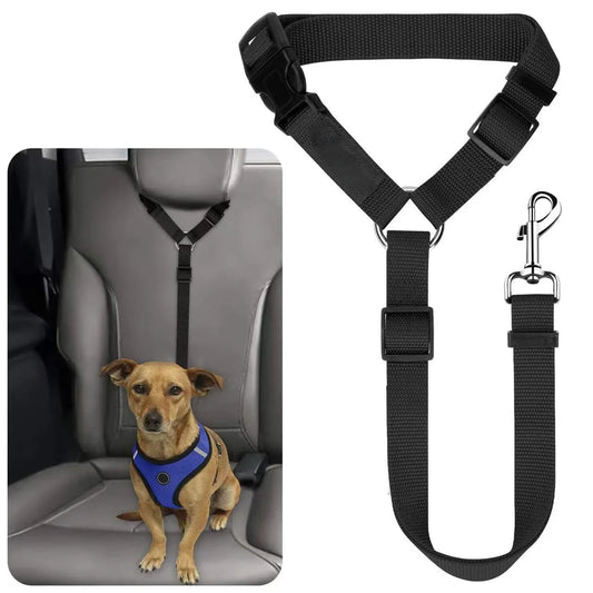 Two-in-one seat belt for pets