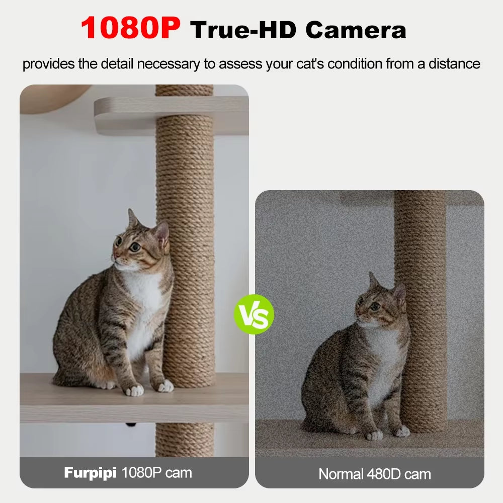 Automatic Dog Feeders with 1080P HD Camera and 5G WiFi - Tuya App Controlled Pet Food Dispenser for Cats and Dogs by